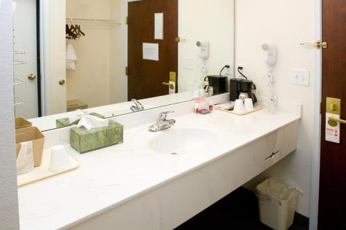 baño con lavabo y espejo grande en Country Hearth Inn of Knightdale, en Knightdale