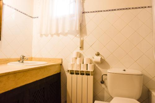 Villanueva de ÁvilaにあるLos Chendasのバスルーム(トイレ、洗面台付)