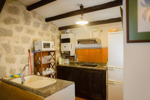a kitchen with a sink and a white refrigerator at Los Chendas in Villanueva de Ávila