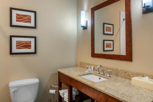 y baño con lavabo, aseo y espejo. en Comfort Inn South Chesterfield - Colonial Heights en Colonial Heights