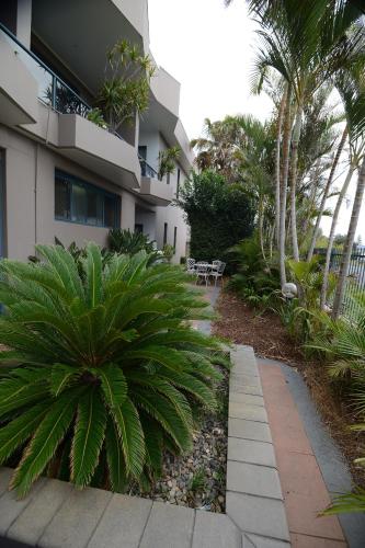 Un jardín fuera de Rockpool Motor Inn