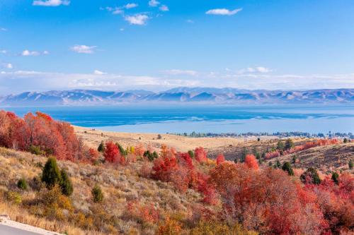 Bear Country Cabin #9 – Photos 2
