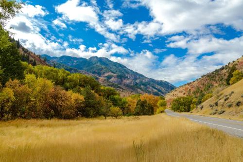 Bear Country Cabin #9 – Photos 4