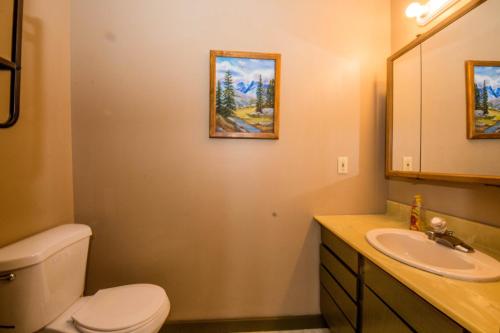 a bathroom with a toilet and a sink and a mirror at Meadow Mountain Home in Garden City