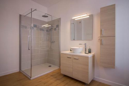 y baño con ducha, lavabo y espejo. en Gîte Le Cocoon d'Isatis 2, en Montgiscard