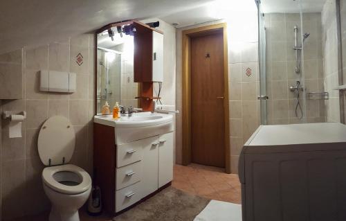 ein Bad mit einem WC, einem Waschbecken und einer Dusche in der Unterkunft Rooms with shared kitchen Zver, great for hikers in Hudajužna