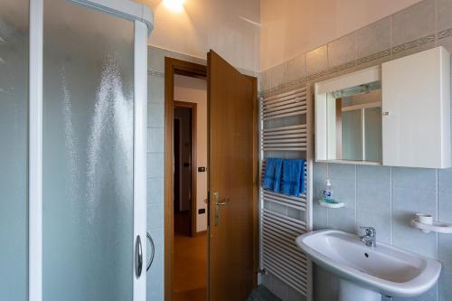 y baño con lavabo, espejo y ducha. en Agriturismo Il Picchio, en Castiòns di Strada