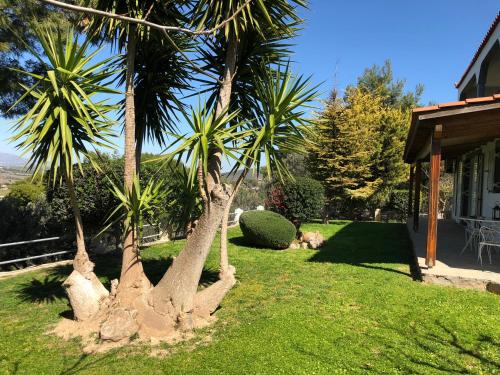 Jardín al aire libre en Villa Sophia