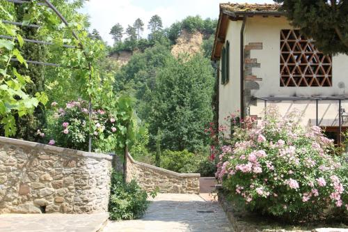 Zahrada ubytování Villa Rigacci