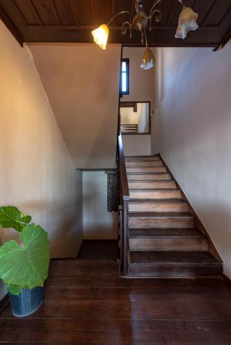 a stairway with a stair case and a plant at Matzato in Monodendri