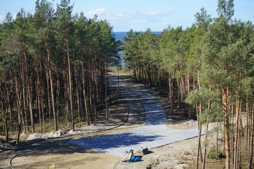 a road in the middle of a bamboo forest at Hotel White in Krynica Morska