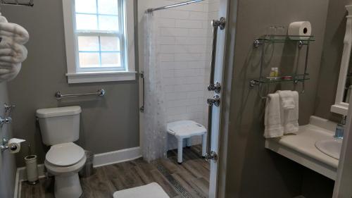 a bathroom with a toilet and a shower and a sink at Wildflower Bed and Breakfast in Mountain View