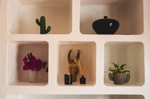 a white shelf with vases and plants in it at Finca Malvasia Rural Estate & Vineyard in Tías
