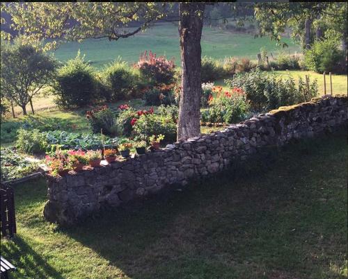 a stone retaining wall with flowers and a tree at Les Fayettes in Montregard