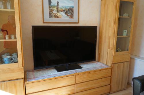Televisyen dan/atau pusat hiburan di Ferienwohnung Frenzel