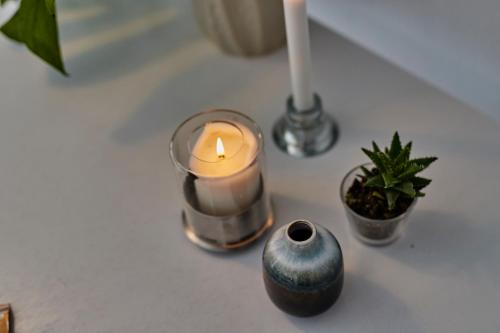 a candle and a potted plant on a table at Finca Malvasia Rural Estate & Vineyard in Tías