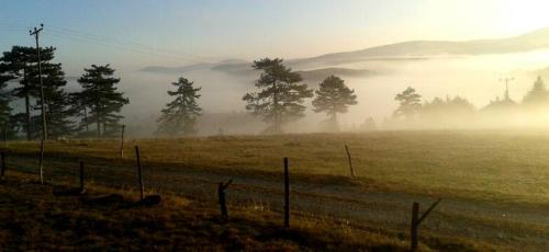 a field with a fence and trees in the fog at Planinarski dom "Tornik" Zlatibor in Ribnica