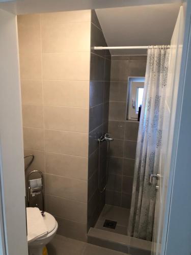 a bathroom with a shower and a toilet at Apartment Panorama Mostar in Mostar