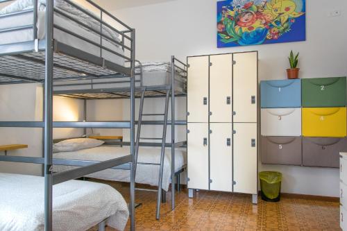 a bunk bed room with bunk beds and a ladder at Posada Verona Hostel in Verona