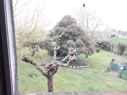 a view of a tree from a window at Villa Gazounette in Castelmayran