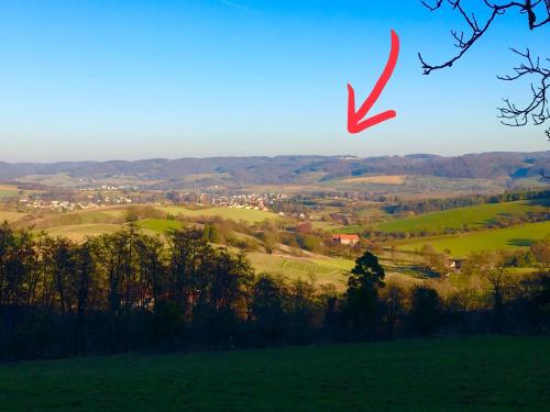 a red arrow is flying over a green field at Ferienwohnung Boellsteiner Hoehe in Böllstein