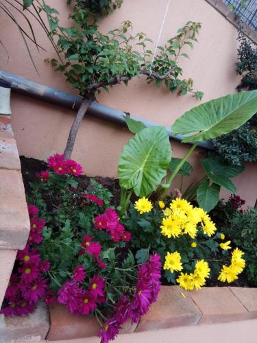 a bunch of flowers in a flower box on a wall at Appartamento in zona residenziale in Orosei