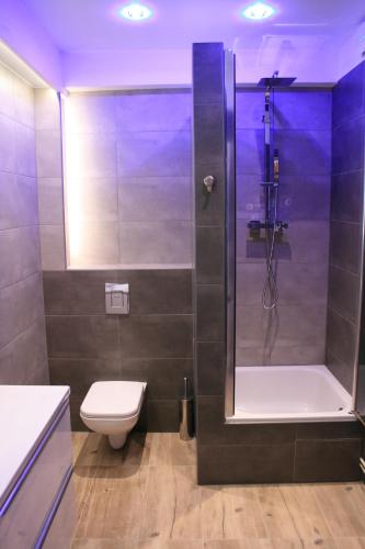 a bathroom with a shower with a toilet and a sink at Apartament Light & Bright in Międzyzdroje