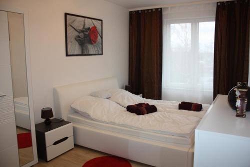 Posteľ alebo postele v izbe v ubytovaní KOLOBRZEG apartamenty GREG POLANKI