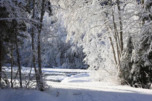 a snow covered forest with a river and trees at Haus am Lift in Kleinarl