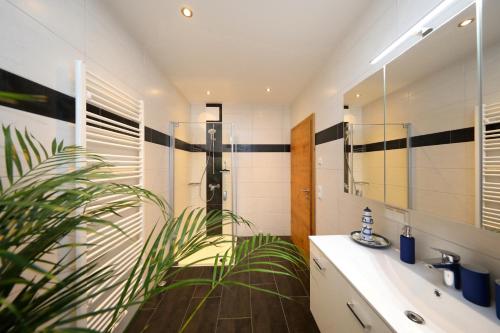 baño con lavabo, espejo y planta en Appartment Obergstattgut, en Grossarl