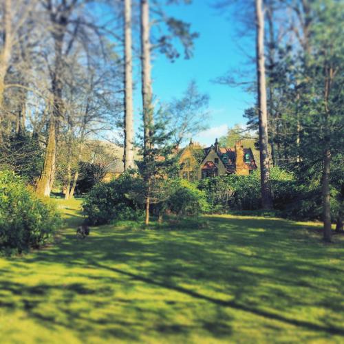 a house in the middle of a yard with a dog at Leithen Lodge in Innerleithen