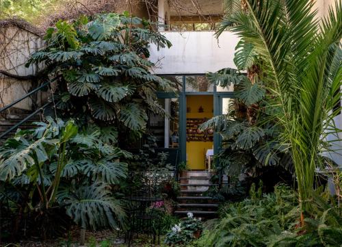 a house with a yellow door and some plants at Lirma B&B in Cefalù