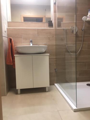 a bathroom with a sink and a shower at Apartmán Čihadla in Bedřichov