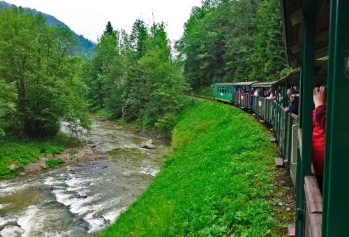 a group of people riding on a train by a river at Domek Skowronek z basenem in Lesko