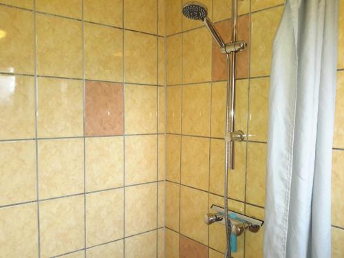 y baño con ducha y cortina de ducha. en Strandhuussie Texel en De Koog