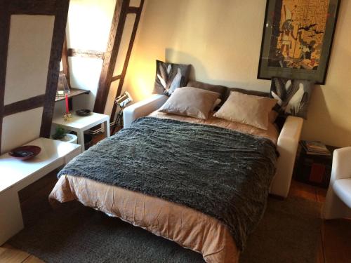 ストラスブールにあるUnik's Home & Terrazaのベッドルーム1室(大型ベッド1台付)