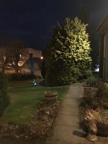 a sidewalk in a yard at night with a tree at Garden Park Guest House in Grantown on Spey