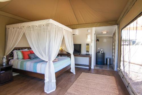 a bedroom with a bed with a canopy at Dubbo Rhino Lodge in Dubbo