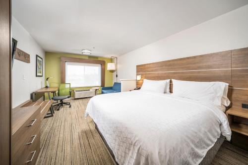 a hotel room with a large bed and a desk at Holiday Inn Express Chicago Northwest-Vernon Hills, an IHG Hotel in Vernon Hills