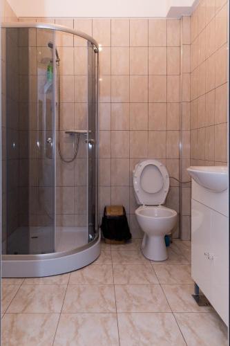 a bathroom with a shower and a toilet and a sink at ENIGMA BUCOVINEI in Vicovu de Jos