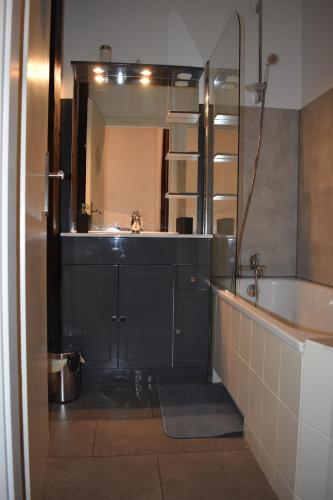 une salle de bain avec un lavabo, une baignoire et un miroir dans l'établissement GITE LE BAROCCO, à Colmar