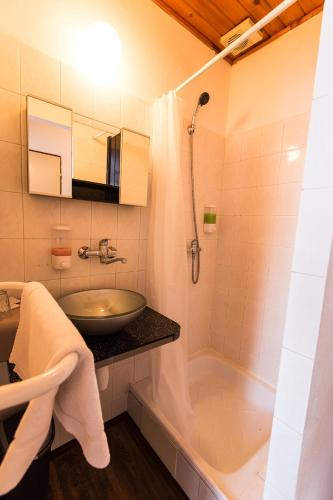 a bathroom with a sink and a shower at Penzion Alfa Poděbrady in Poděbrady
