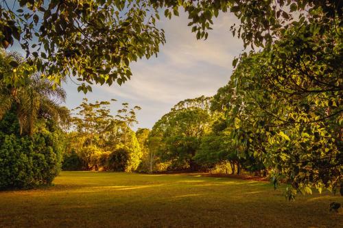un campo de césped con árboles en el fondo en Malanda Lodge, en Malanda