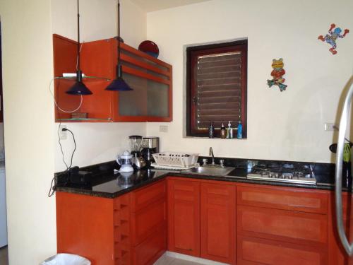 kuchnia z drewnianymi szafkami i zlewem w obiekcie Casa Sonrisas w mieście Playa del Carmen