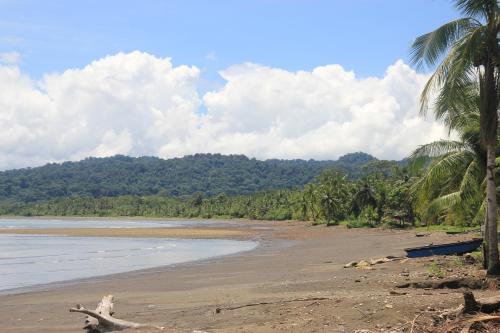 a beach with palm trees and the ocean at Casa Colibrí in Nuquí