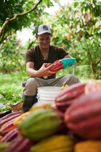 a man is holding a bunch of hot peppers at Finca Amistad Cacao Lodge in Bijagua