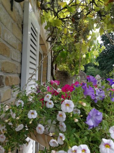 B&B De Akkerwinde – Photos 2