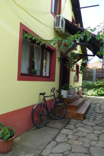 a bike is parked outside of a house at Pensiunea Deceneu in Slănic