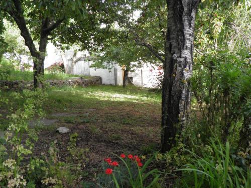 Zahrada ubytování Apartamentos Casalpujarra
