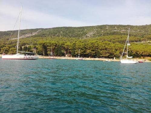 Φυσικό τοπίο κοντά σε αυτό το διαμέρισμα